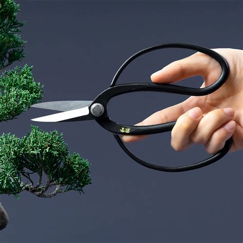 Tijera bonsai Continuara.org