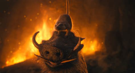 Timon Continuara.org