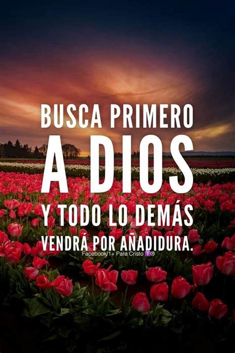 Todo lo busca Continuara.org
