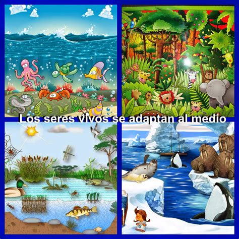 Todos los necesitan Continuara.org