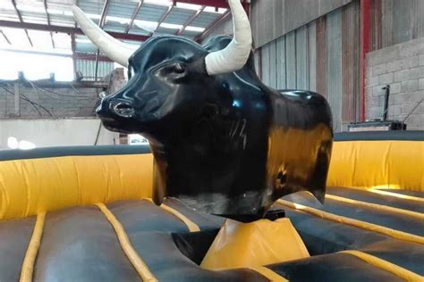 Toro mecanico Continuara.org