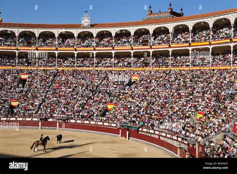 Toros madrid Continuara.org
