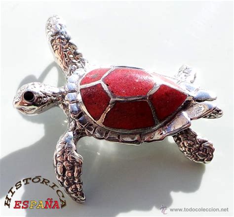 Tortuga plata coral Continuara.org