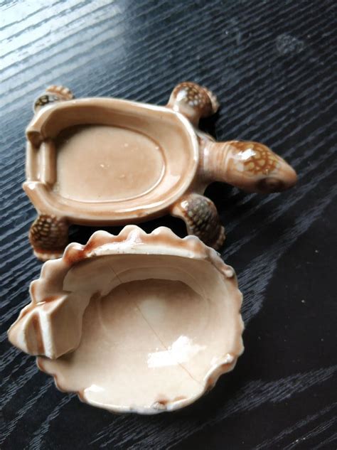 Tortugas porcelana Continuara.org