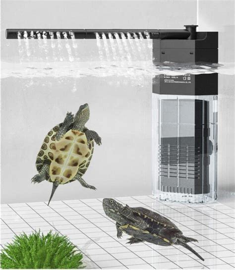 Tortuguera Continuara.org