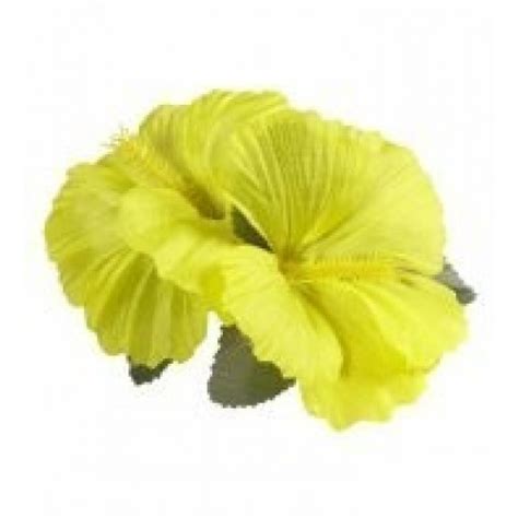 Traba pelo flor Continuara.org