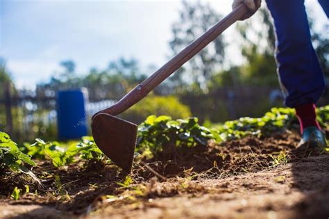 Trabajos agricolas jardineria Continuara.org