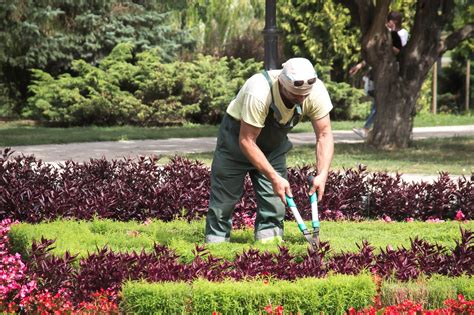 Trabajos jardineria Continuara.org