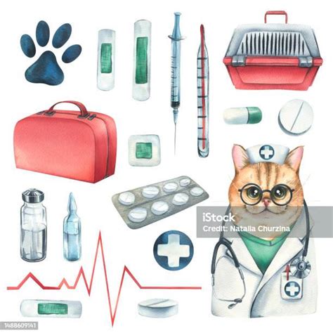 Transportin medico veterinario Continuara.org
