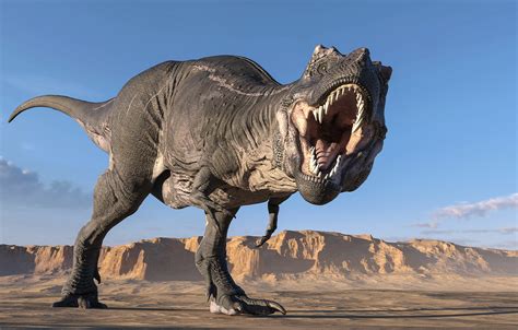 Trex Continuara.org