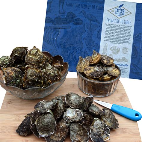 Trio oyster Continuara.org