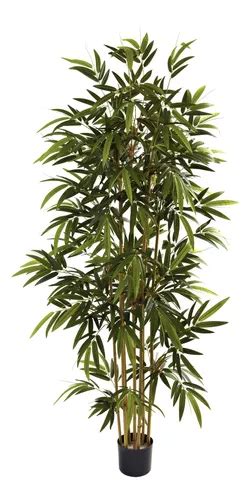 Troncos bambu 180cm Continuara.org