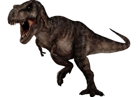 Tyrannosaurus rex ii Continuara.org