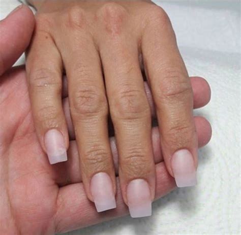 Unas porcelanas Continuara.org