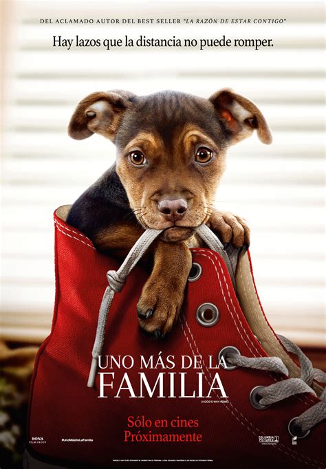 Uno mas familia Continuara.org