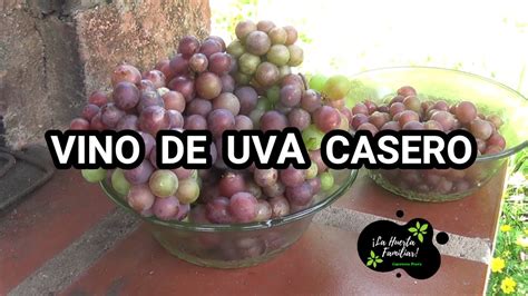 Uva hacer vino Continuara.org