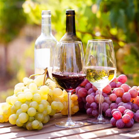 Uvas vinos Continuara.org