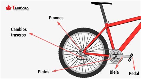 Varias piezas bicicletas Continuara.org