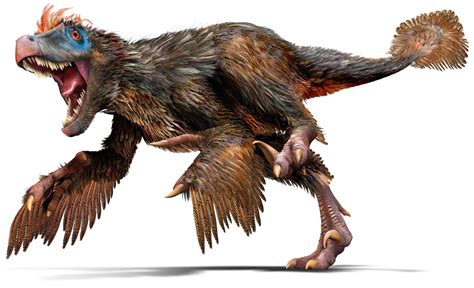 Velociraptor Continuara.org