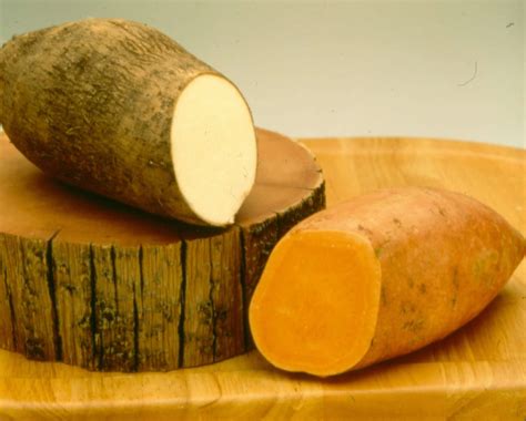 Yam Continuara.org