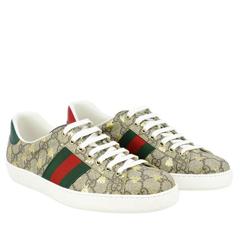 Zapatillas gucci Continuara.org