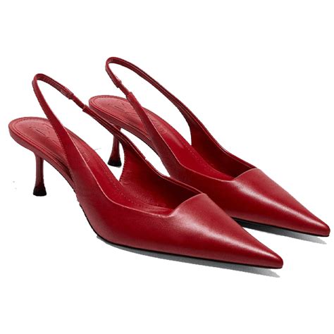 Zapatos elegantes mujer Continuara.org