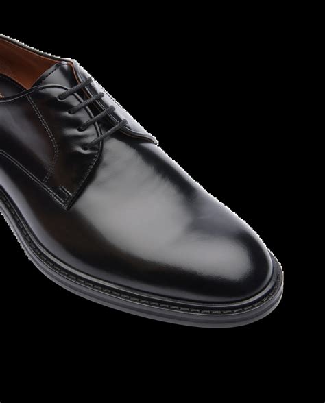 Zapatos lottusse Continuara.org