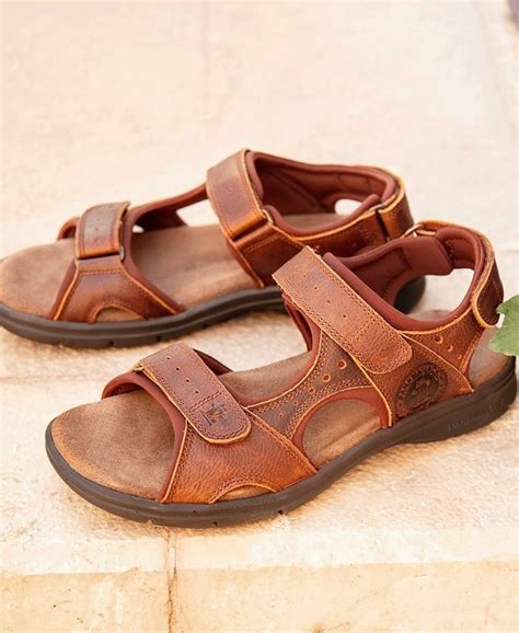 Zapatos panama jack Continuara.org