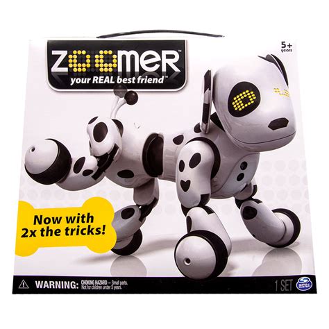 Zoomer Continuara.org